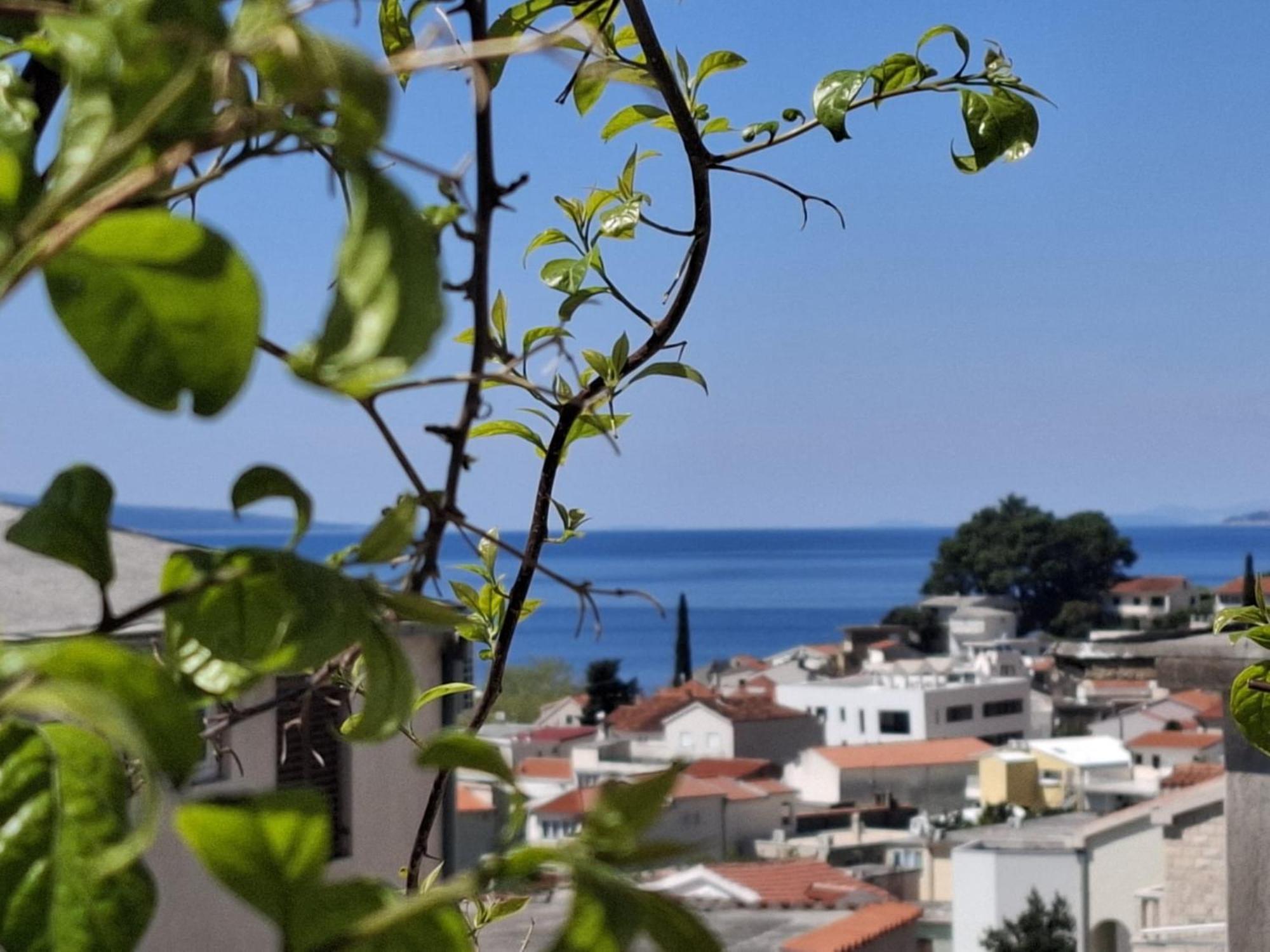 Apartmani Luka 바스카보다 외부 사진